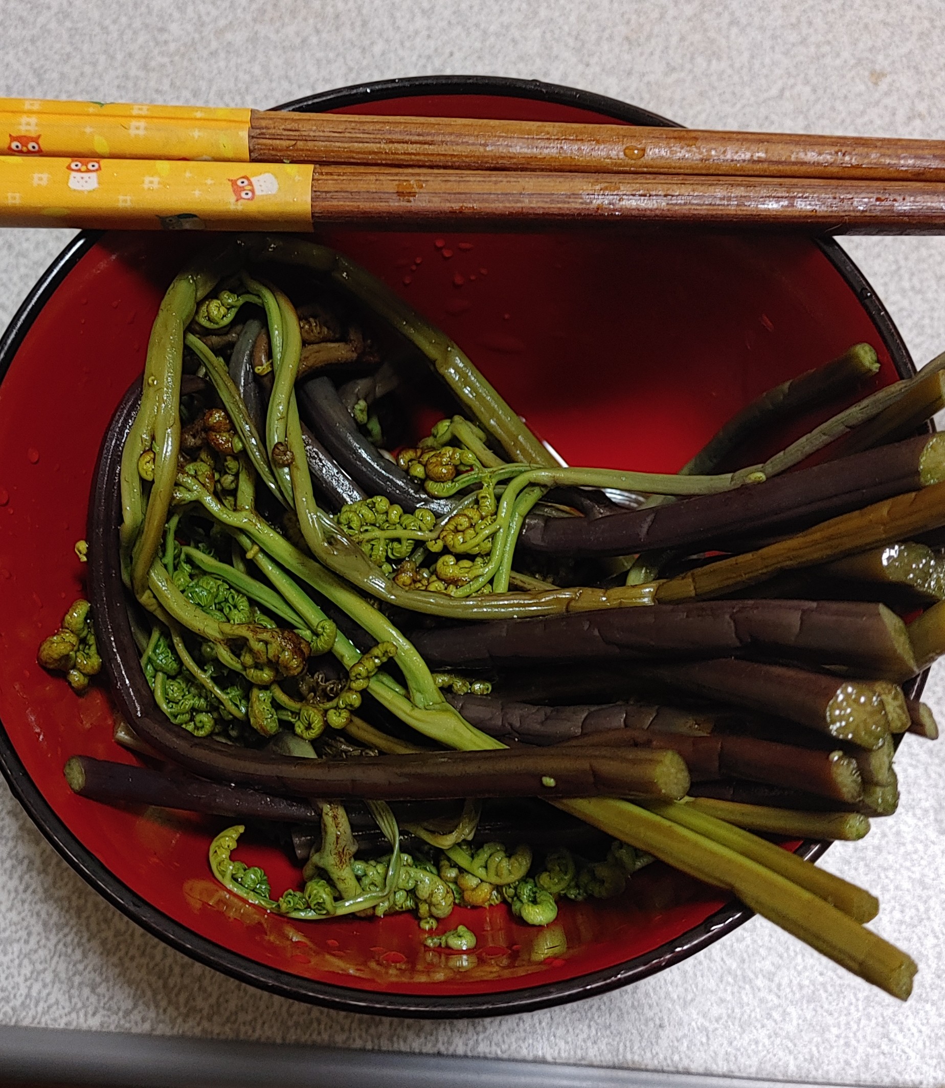 【腹が減ったら山菜を食べよう】山に生えてる